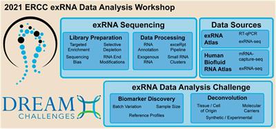 Open Problems in Extracellular RNA Data Analysis: Insights From an ERCC Online Workshop